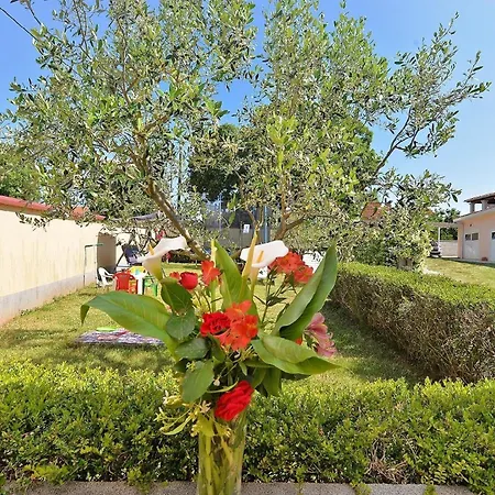 Mit Privatpool Fuer 4 Personen Ca 30 Qm In Pula, Istrien Istrische Riviera 펜션 풀라