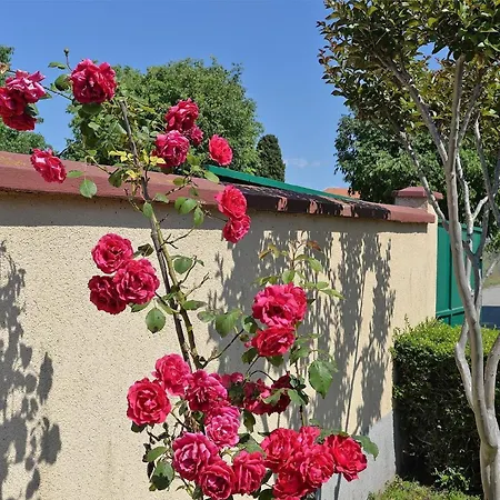 Ferienhaus Mit Privatpool Fuer 4 Personen Ca 30 Qm In Pula, Istrien Istrische Riviera *